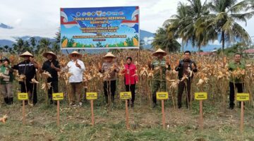 Dandim 0108/Agara Hadiri Panen Raya Jagung Serentak Kuartal II Tahun 2026 Polres Agara