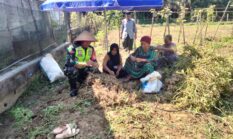 berita-pilihan-foto