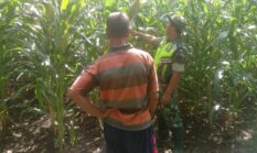berita-pilihan-foto