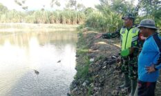 berita-pilihan-foto