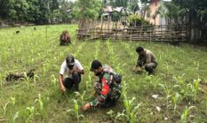 berita-pilihan-foto