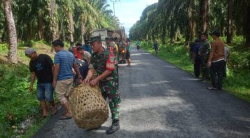 Babinsa Desa Serbajadi melaksanakan gotong royongl dengan Warga Binaan