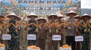 Sekda Kabupaten Pakpak Bharat Hadiri Panen Jagung Bata lyon TP 906