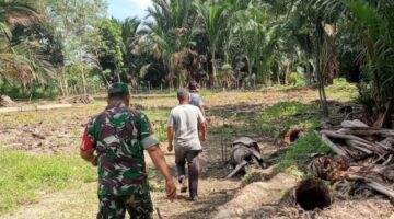 Tingkatkan Kerja Sama Yang Baik Babinsa Koramil 02/Seunagan Dan Petani Turun Kelapangan Cek Lahan Kosong Di Desa Binaan