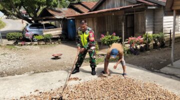 Babinsa Posramil Leuser Bantu Petani Jemur kakao/Coklat