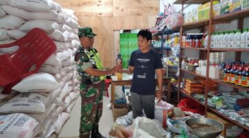Babinsa Cek Ketersediaan Pupuk Untuk Petani Di Wilayah Binaan