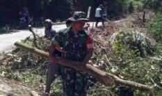 berita-pilihan-foto