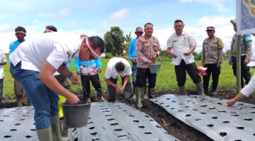 Serentak di 17 Provinsi, Polres Simalungun Dukung Percepatan Swasembada Bawang Putih Nasional