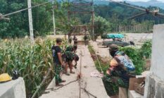 berita-pilihan-foto