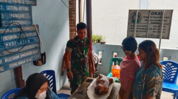 Babinsa Koramil 0201-14/PB Memonitor Sekaligus Melaksanakan Pendampingan Kegiatan Posyandu ILP