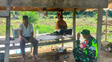 Babinsa Posramil Beutong Ateuh Banggalang Komsos Bersama Peternak Kerbau di Desa Binaan