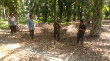 Babinsa Patroli Waspadai Karhutla, Cegah Kebakaran Hutan dan Lahan di Wilayah Binaan