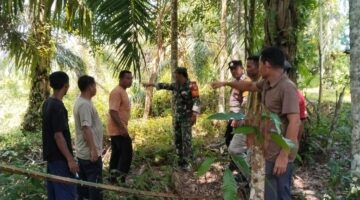 Babinsa Pos Ramil Tadu Raya Berikan Himbauan Pencegahan Karhutla kepada Masyarakat    