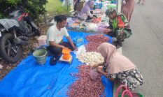 berita-pilihan-foto