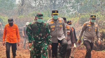 Pangdam XIX/Tuanku Tambusai Cek Langsung Penanganan Karhutla di Kerumutan