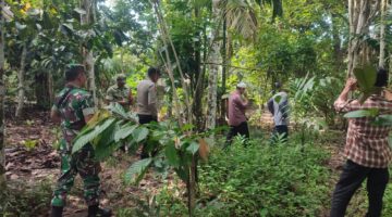 Cegah Karhutla,Babinsa Bersama Bhabinkamtibmas, dan Polhut Gelar Patroli Gabungan di Kawasan TNGL