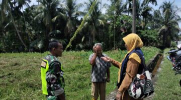 Babinsa Koramil 02/Seunagan Komsos Bersama Anggota PPL Dan Kelompok Tani