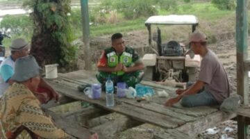 Jelang Musim Tanam, Babinsa Koramil 01/Kuala Komsos Dengan Petani di Sawah