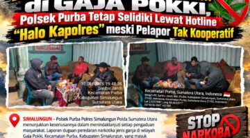 Aduan Dugaan Peredaran Ganja di Gaja Pokki, Polsek Purba Tetap Selidiki Lewat Hotline “Halo Kapolres” Meski Pelapor Tak Kooperatif