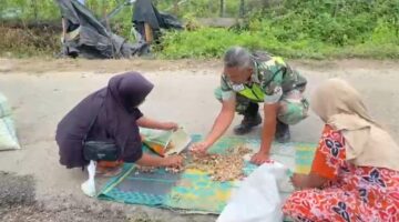 Babinsa Posramil Beutong Ateuh Banggalang Komsos Bersama Warga Sambil Bantu Warga Jemur Pinang