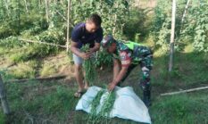 berita-pilihan-foto